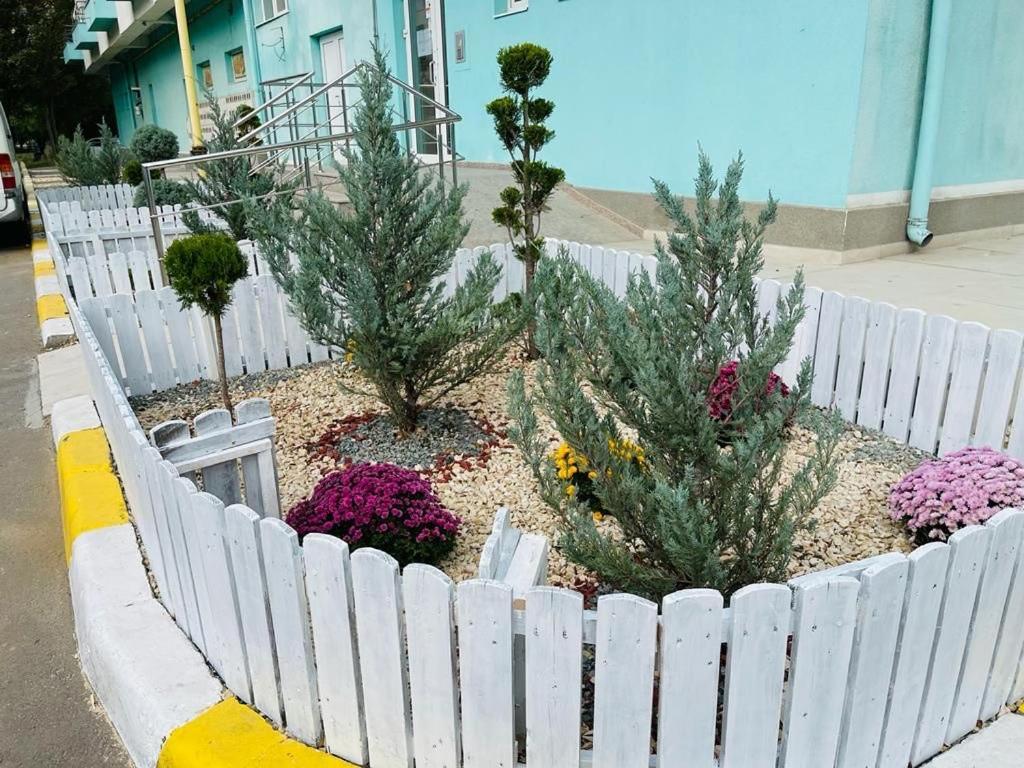 Apartament Summerland Mamaia Nord エクステリア 写真